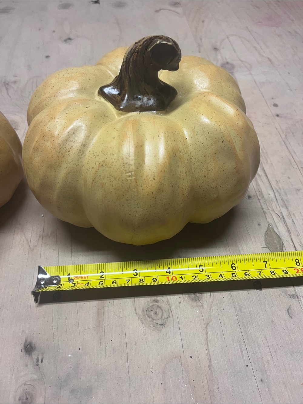 Pumpkins - Picture 2 of 3